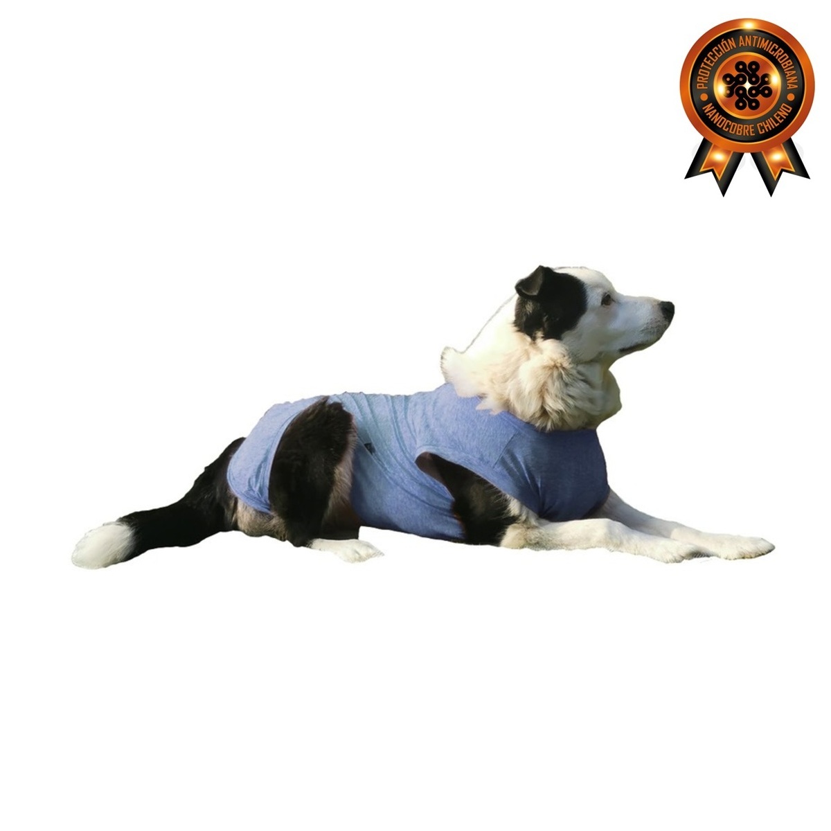 Body antimicrobiano nano cobre perro mediano azul. Talla 5 a 11