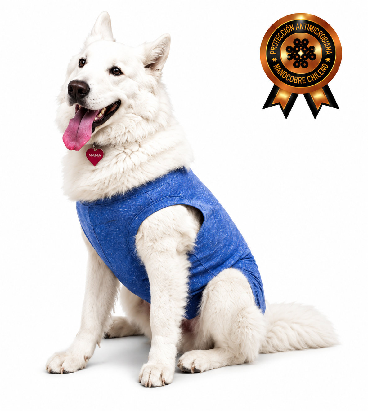 Body antimicrobiano nano cobre perro grande azul. Talla 12 a 17